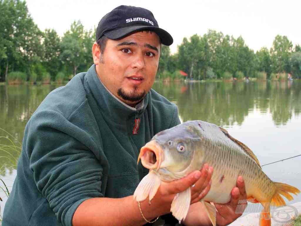 Gyönyörű pontyok élnek a tóban