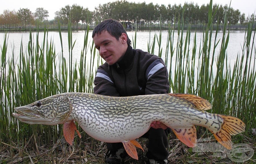 Új egyéni csukarekord: 7,85 kg. Köszönöm, IHP!