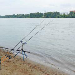 Folyóvízi horgászat