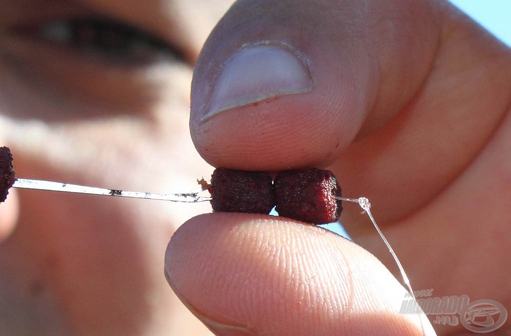 A fűzőtűre felakasztva jöhet az előke végfül, majd óvatosan a puha pelletek. Ezzel a módszerrel a kisméretű puha pelleteket is tudjuk használni. Fontos, hogy a végfülön lévő hurok is a lehető legkisebb legyen, és hogy ne legyen feleslegesen hosszú damilszár sem a hurok alatt