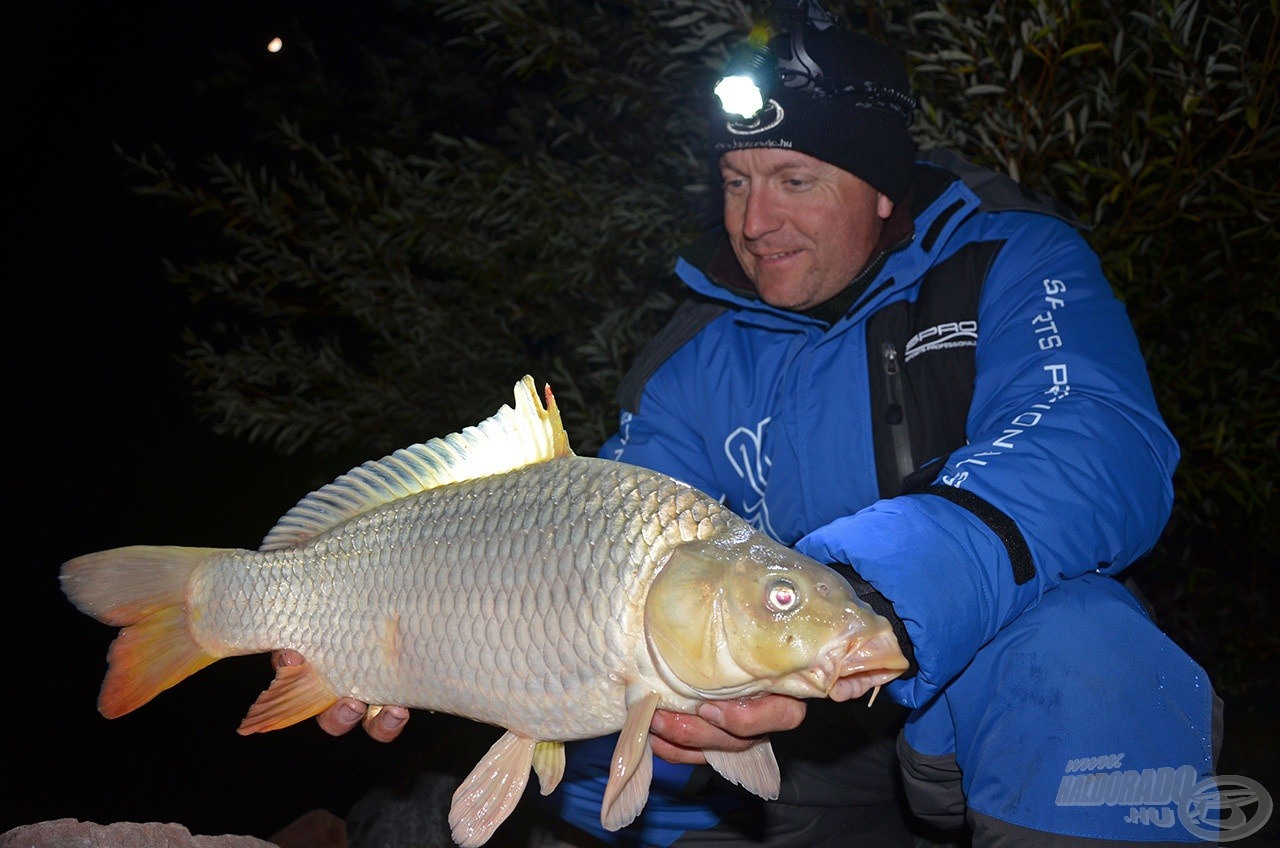 A halak mérete 1,5-2,5 kg között alakult