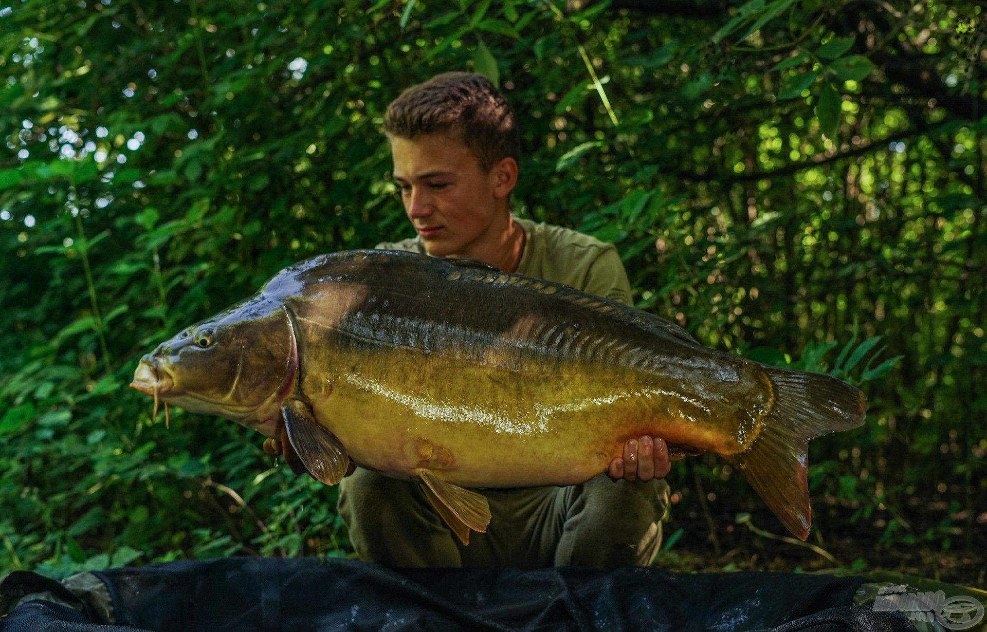 A vad tükrös több mint 14 kg-ot nyomott