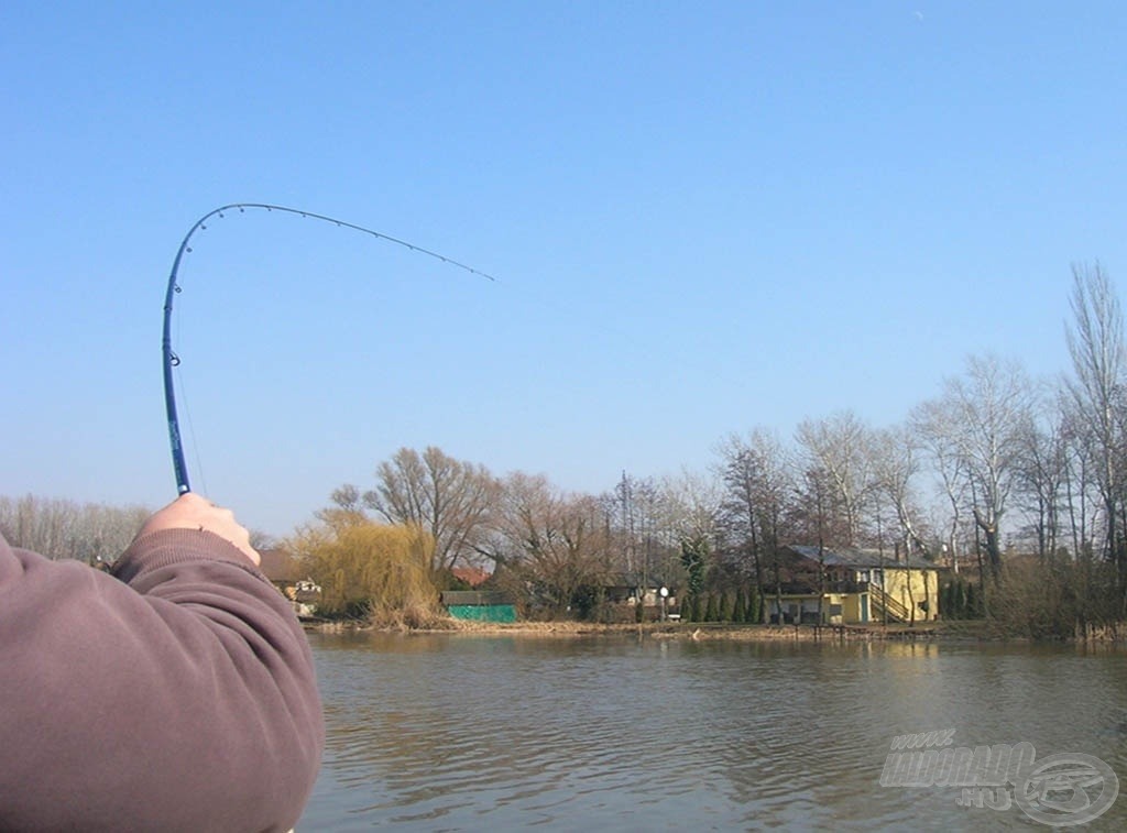 Innentől kezdve jöttek a pontyok, a botok meg szépen dolgoztak