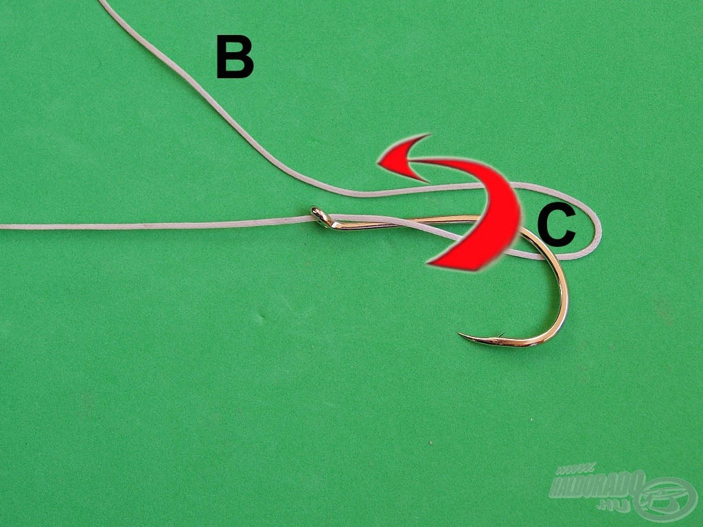 Hajtsuk vissza a „B” szálat a képen látható módon. Így létrejött a „C” hurok