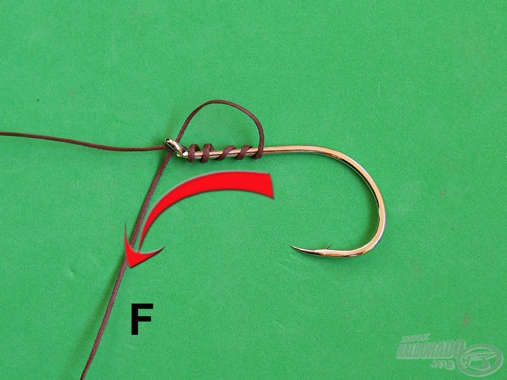 Toljuk előre a lazán tekert meneteket, miközben az „F” szálat enyhén megfeszítjük, hogy a menetek ne gabalyodjanak össze