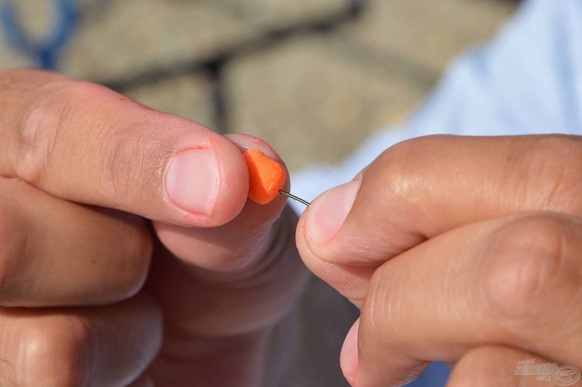 A Chilis Tintahal Hybrid Method Pellet a legegyszerűbben csalitüske segítségével kínálható fel