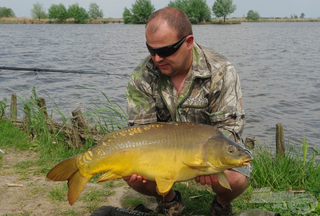 Ezt a 6,7 kg-os tükörpontyot az Ace Lobworm oldódó Pop Ups csábította el