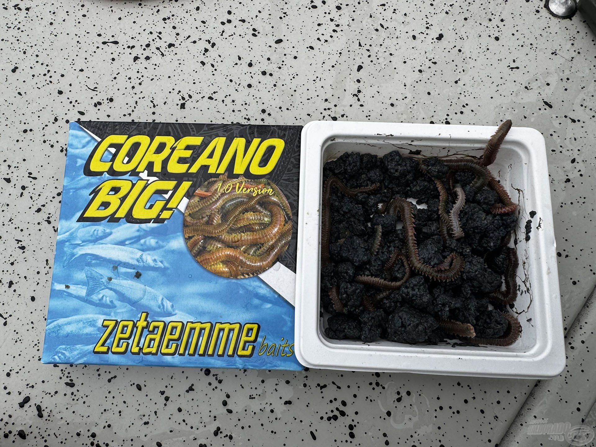 Az tengeri homoki féreg volt a csali
