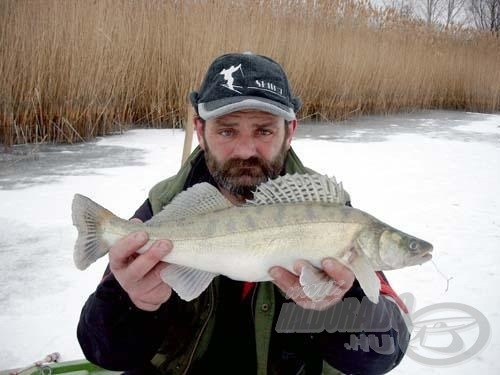 Gyula barátom közel kilós süllője, melyet a másfél méteres vízből fogott ki, minden addig tapasztalt és eredményesen alkalmazott módszert 'romba döntött'