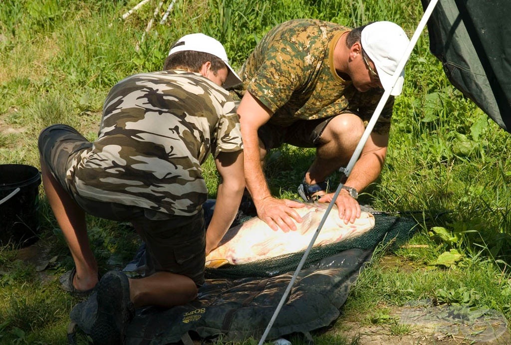 Nem hiányozhattak a simogató kezek…