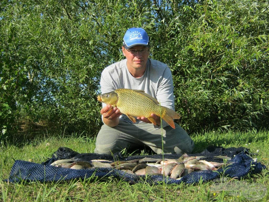 Sok ronda kárász egy csúnya horgásszal és egy ponttyal…