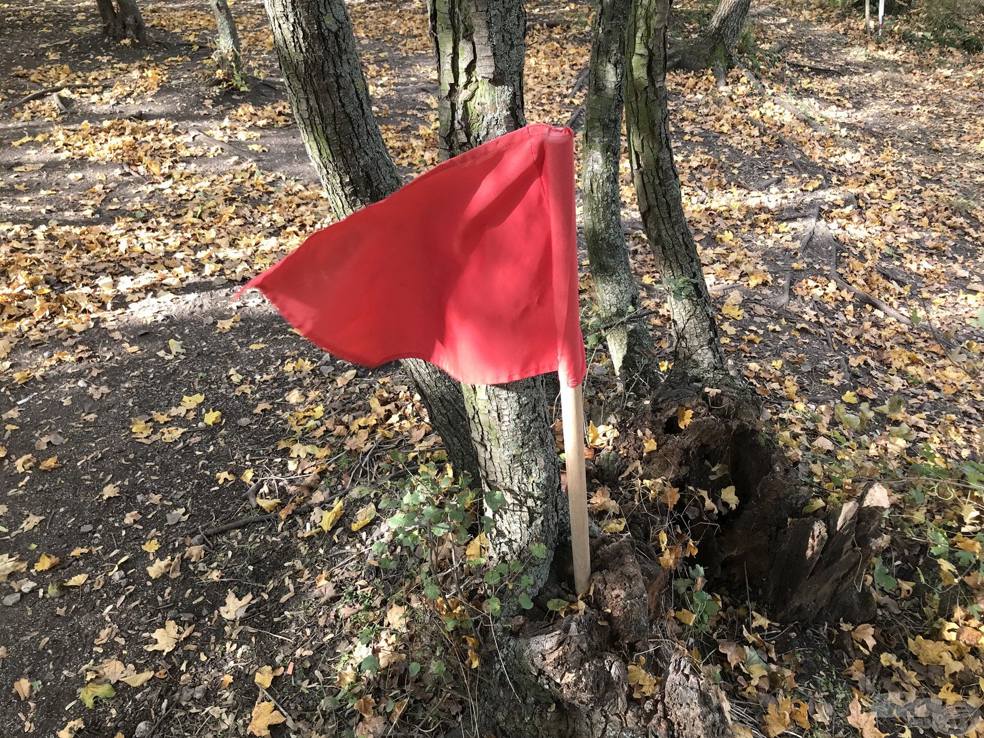 Minden bojlis horgász egy piros zászlóval különbözteti meg magát a napijegyes horgászoktól