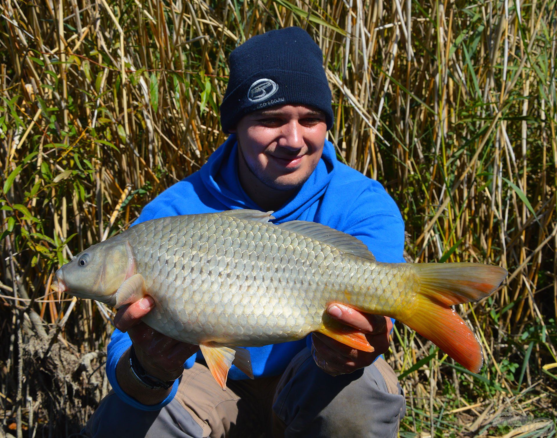 A nap legharciasabb hala a távolra bevetett Long Cast Method Feeder kosaras végszereléket húzta el