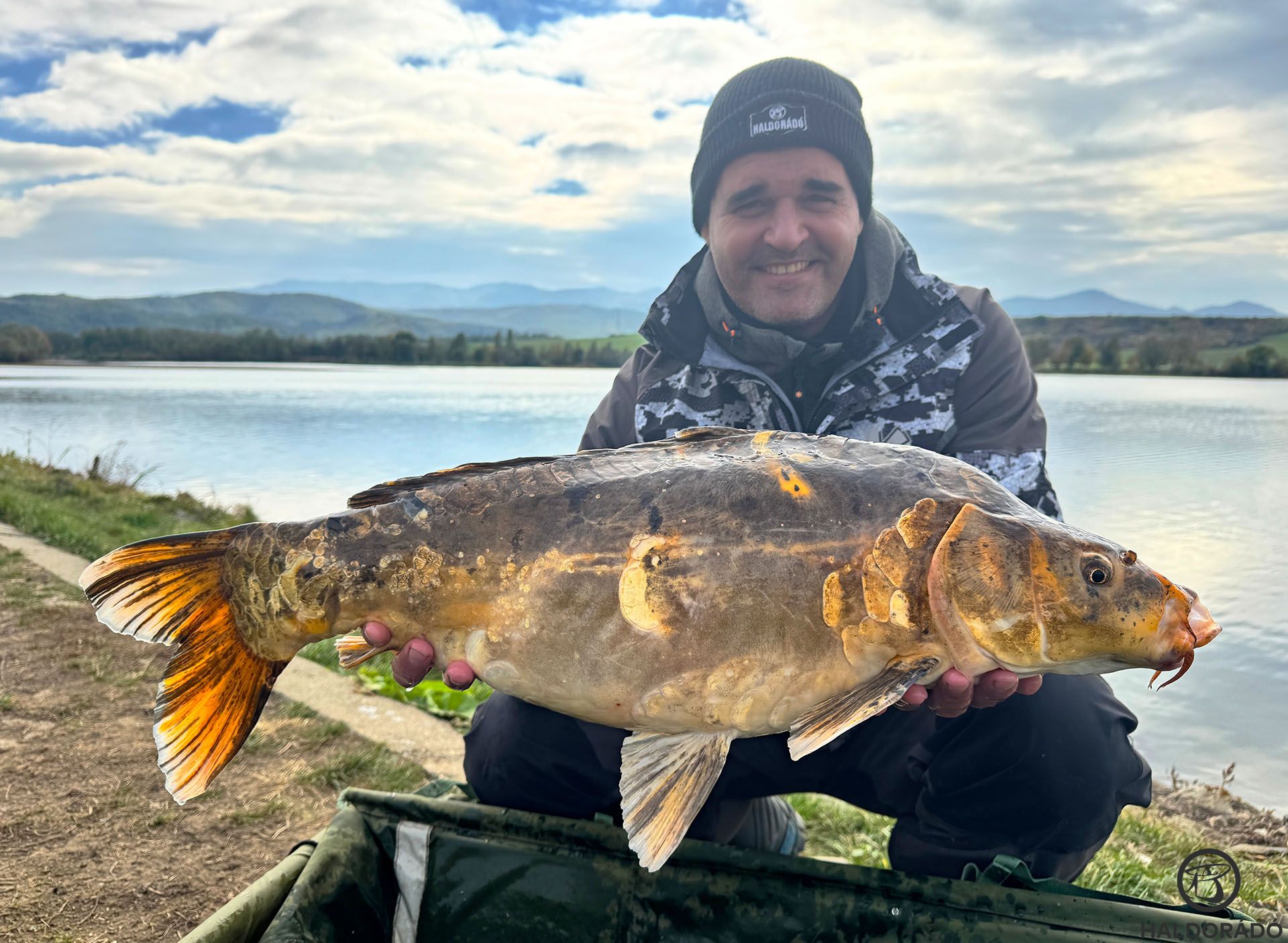 A peca másnapjának egyetlen pontya ez a fantasztikus színű koi volt