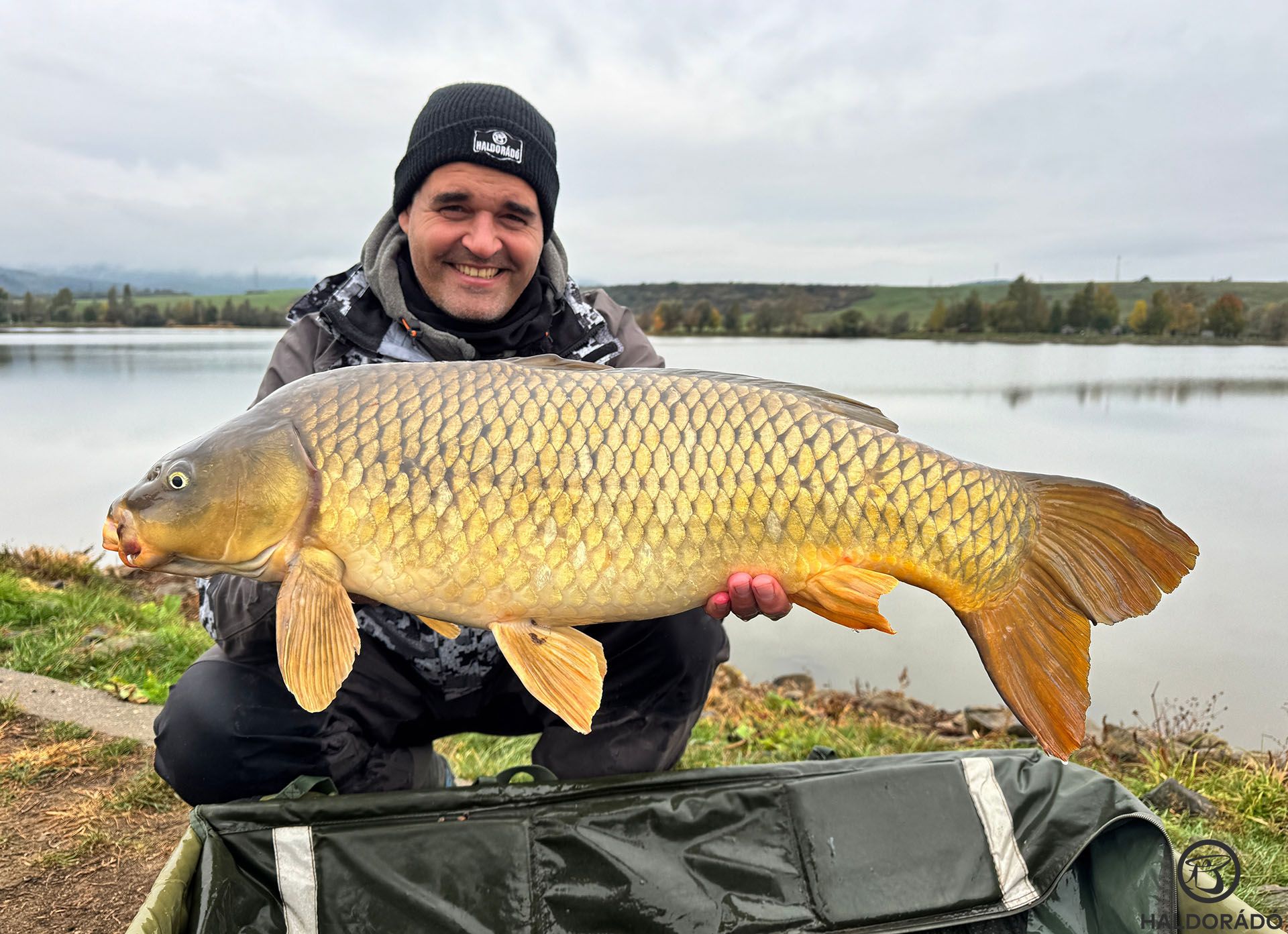 Rövidesen ez az aranyszínű ponty követte
