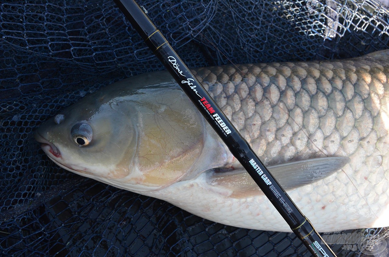 A Spro Team Feeder Master Carp 390MH botomat még az amurok is elismerően szemlélték :)!