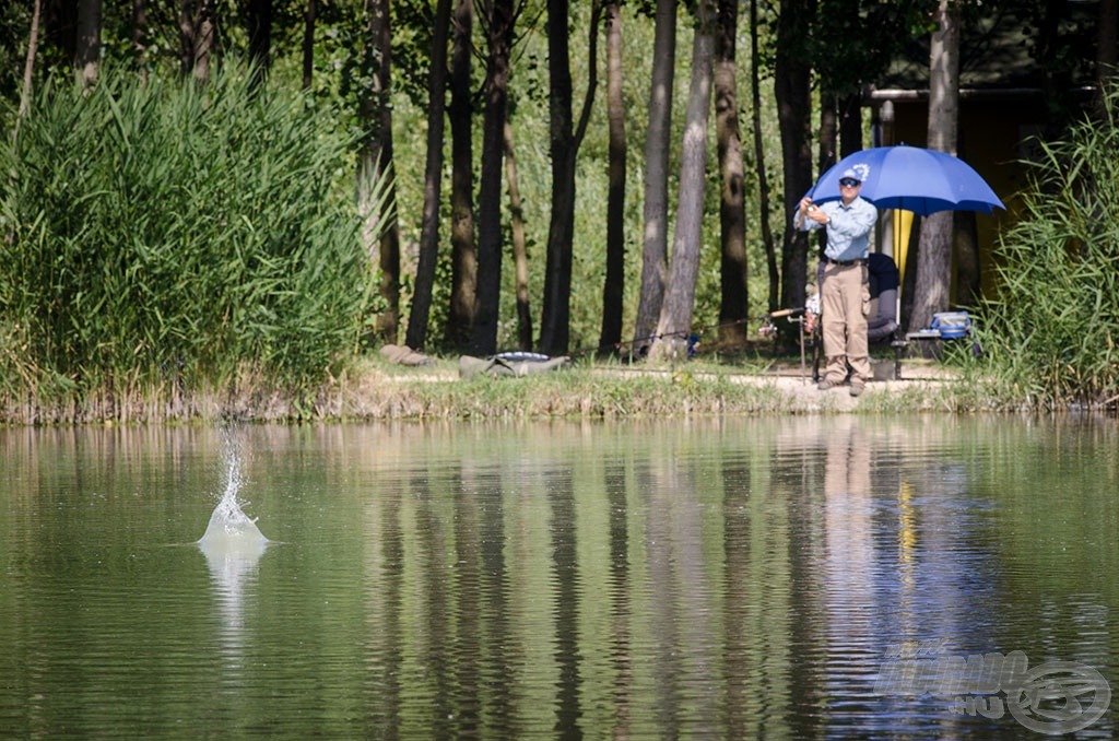 Az Izsáki Horgász- és Pihenőpark ideális tesztpálya, ahol nem kell távolra horgászni