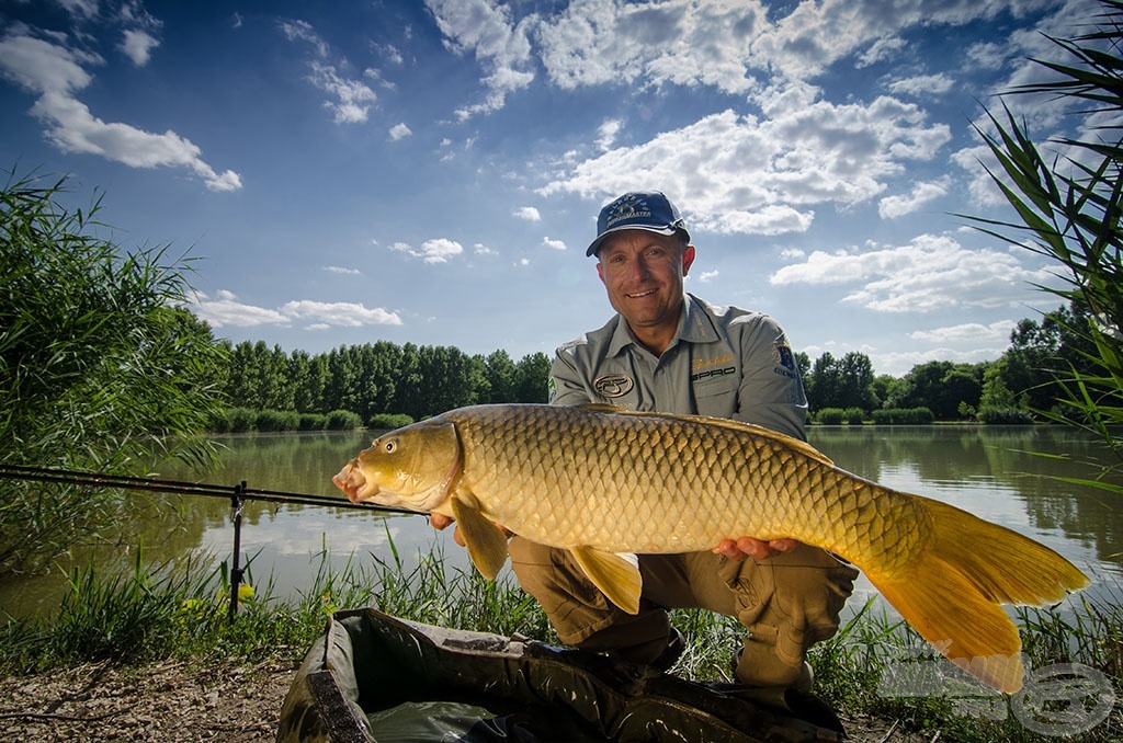 Legerősebbnek az 5-6 kg közötti nyurgapontyok bizonyultak