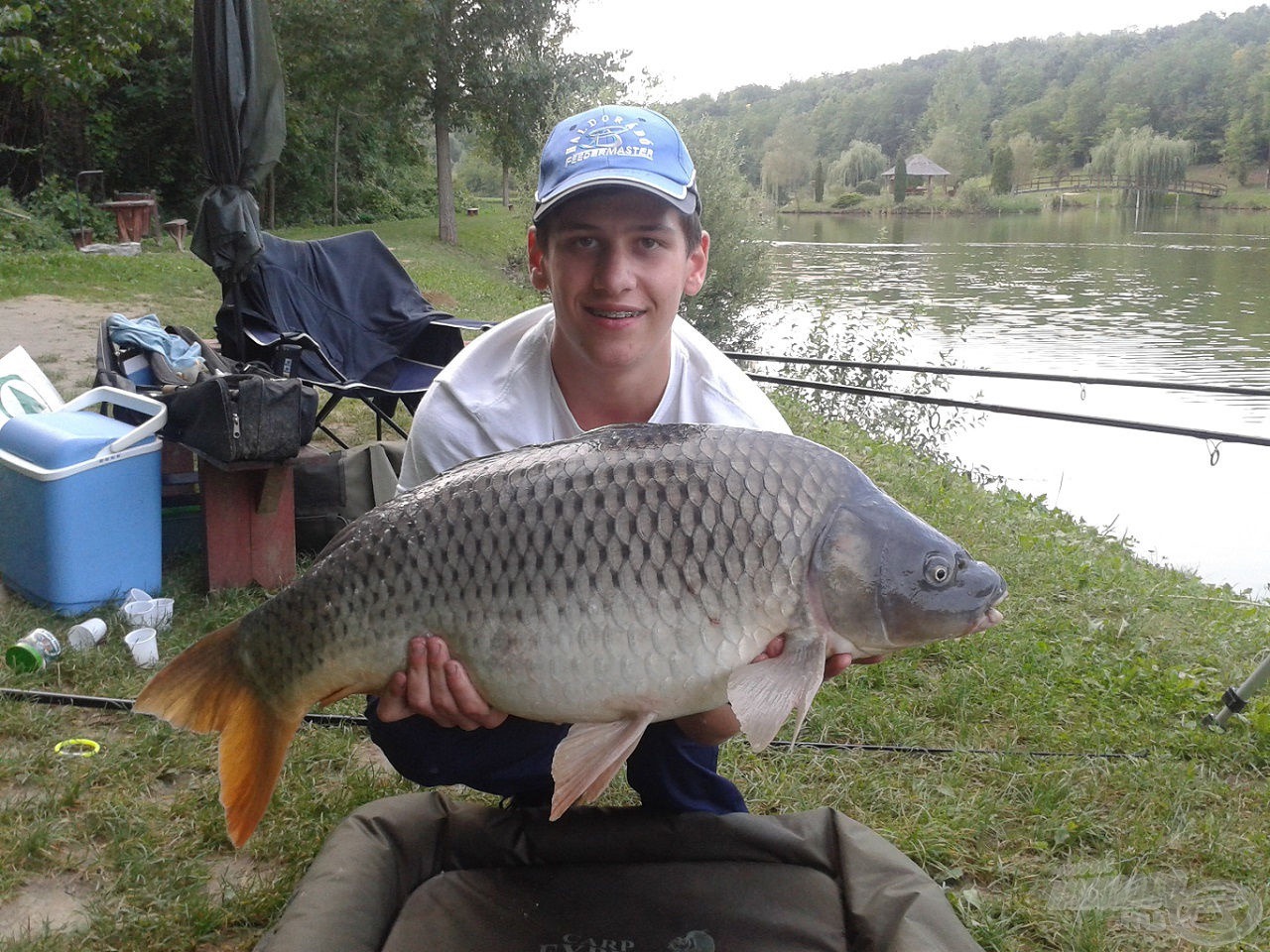 Augusztusi 9,89 kg-os, szépségdíjas tőponty - erjesztett kukoricára