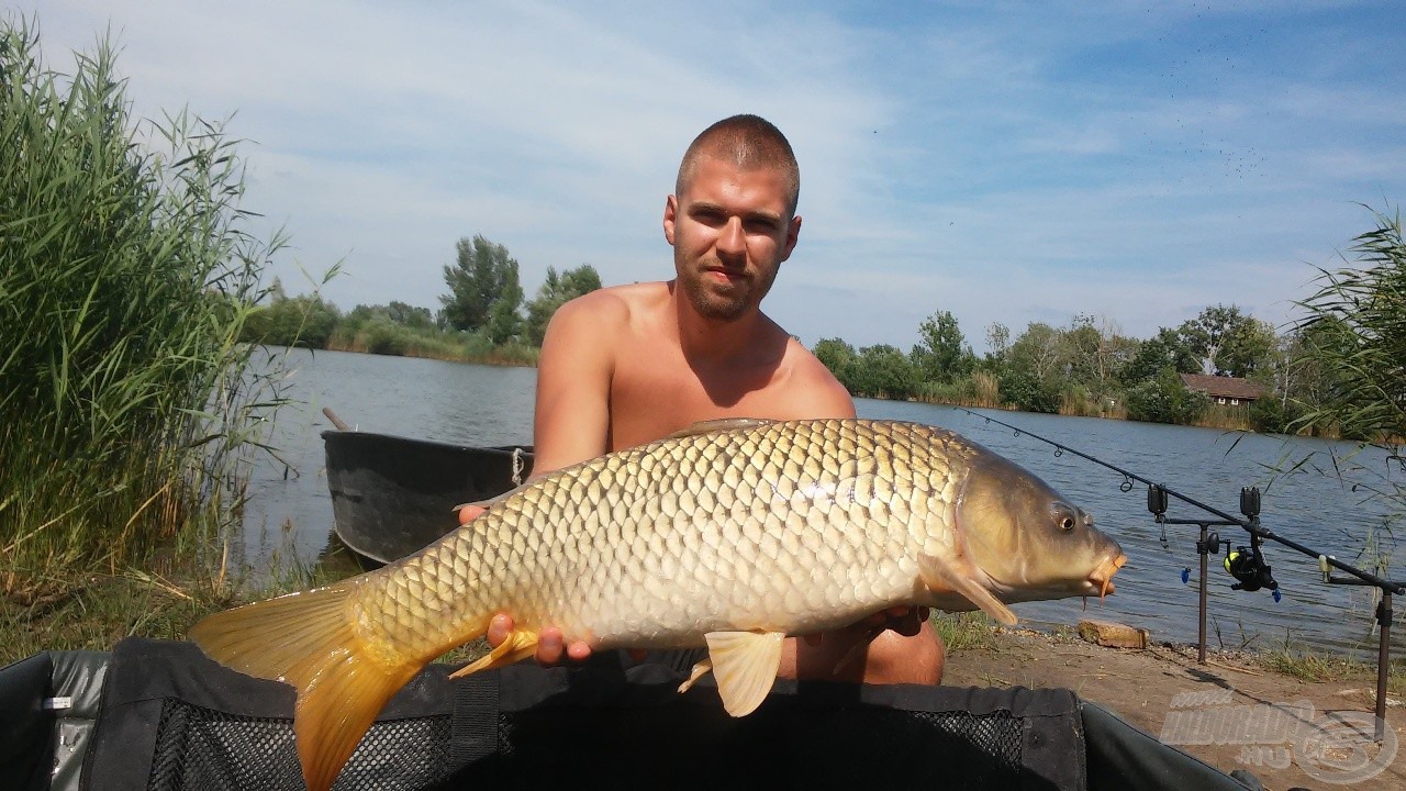 Újabb, erőtől kicsattanó potyka