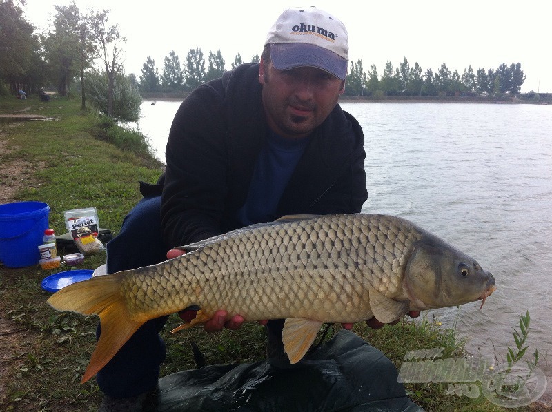 Szilvás bojlira megjött a legnagyobb hal, egy 4,5 kg-os nyurga