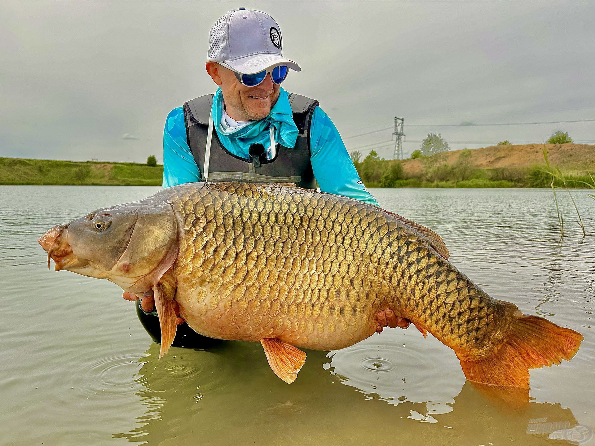 A tó egyik nagy öregje, közel 28 kg volt