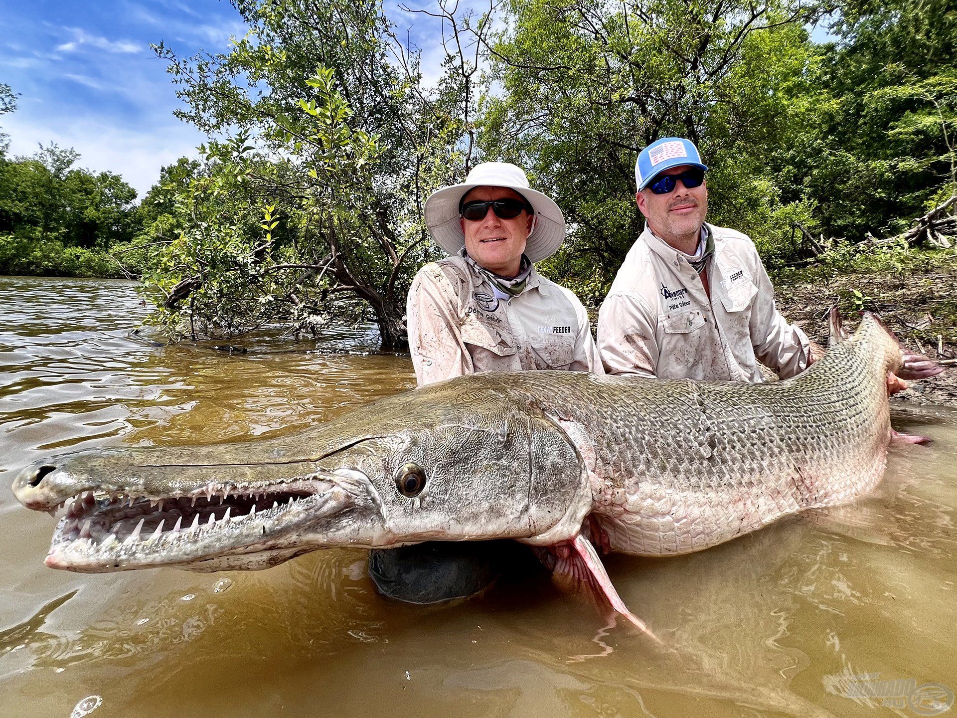 Az alligator gar, amely egy mega méretű csukára hasonlít leginkább, Texasban, a Trinity folyóban él