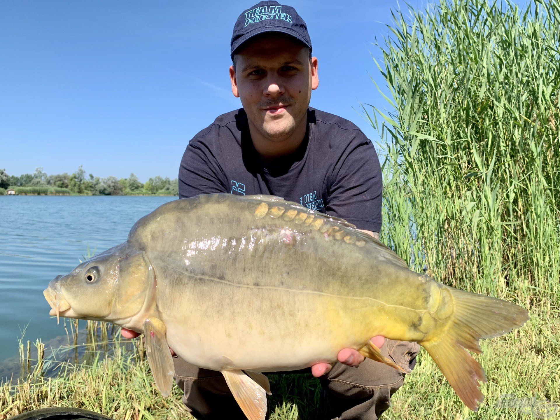 Az itteni horgászatok egész napos izgalmát a 2-4 kg közti pontyok garantálják…