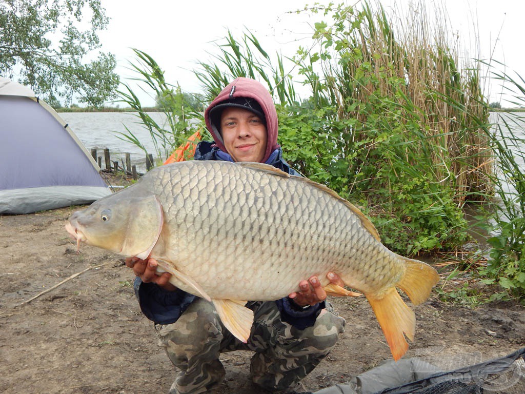 Kezemben egy újabb hatalmas ponty. 12,87 kg-ot nyomott ez a szép töves. Az ohati halakat jellemzi a hatalmas erő és a végletekig küzdeni akarás. Fárasszuk türelmesen őket!