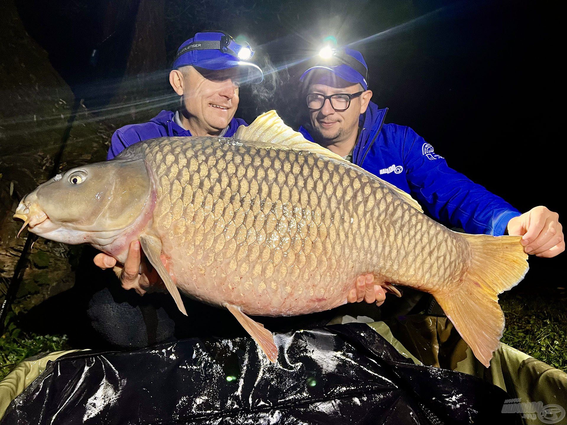 BUMM! És íme, itt van teljes terjedelmében őkelme, 21,5 kg-ot mérlegelt!