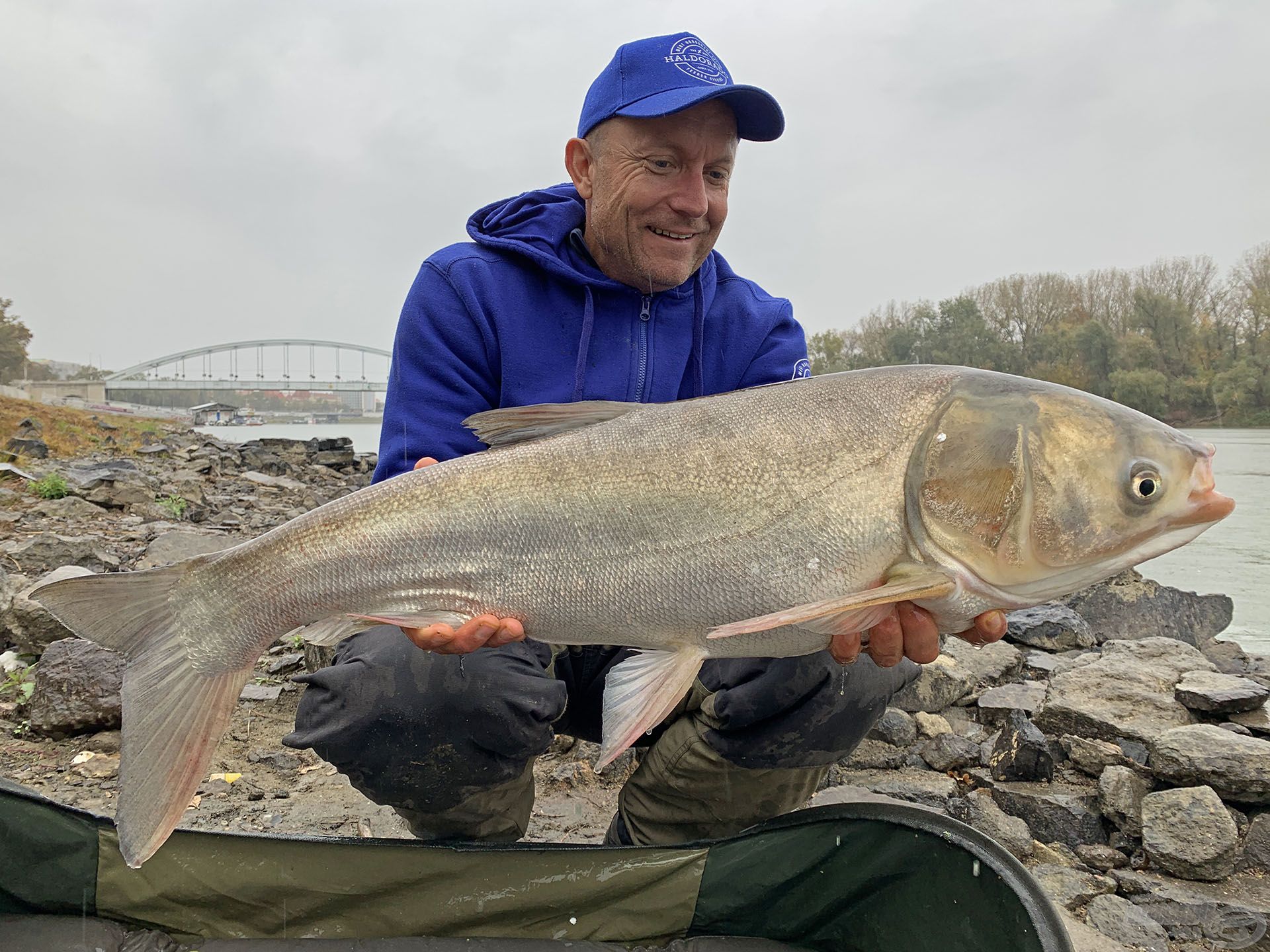 A legtöbb busa 6-10 kg közötti súlyban van