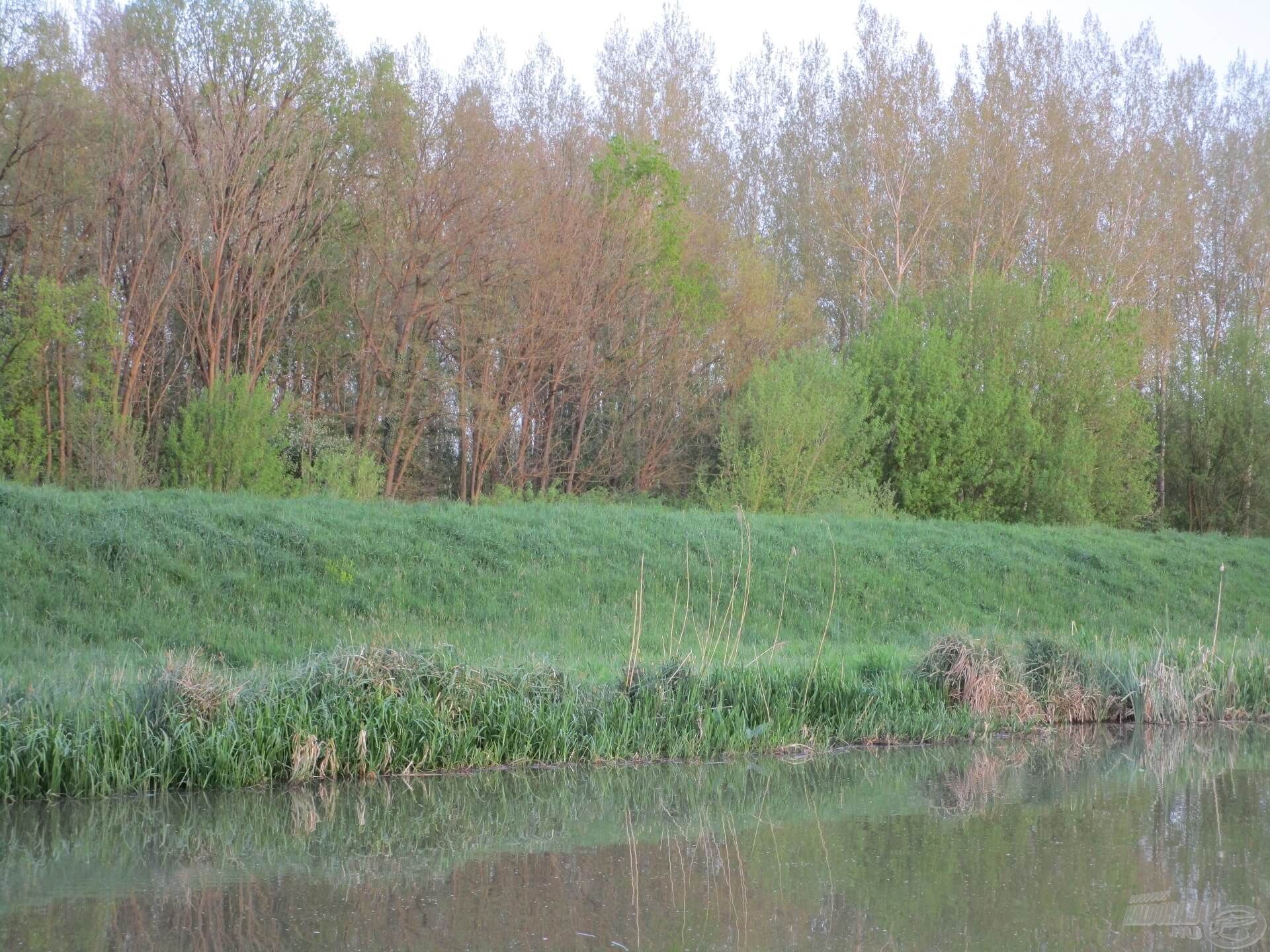 A kiadós esők után jócskán megemelkedett a vízszint