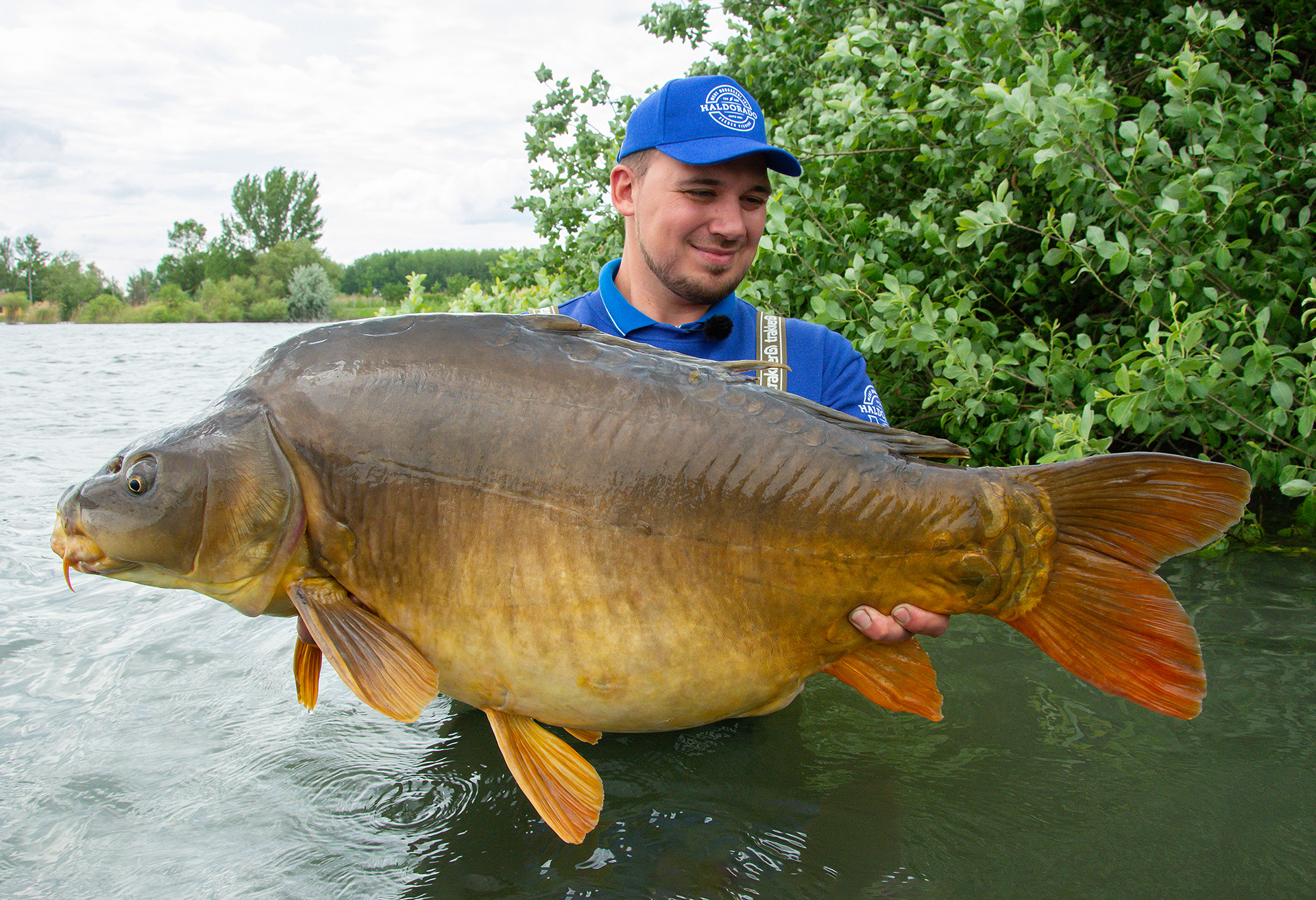 Egy 20 kg feletti, csodálatos tükörponttyal ajándékozott meg a tó, ami egyben új tükörponty rekordom is lett!