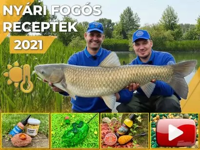 Nyári fogós receptek felmelegedett vizekre 2021