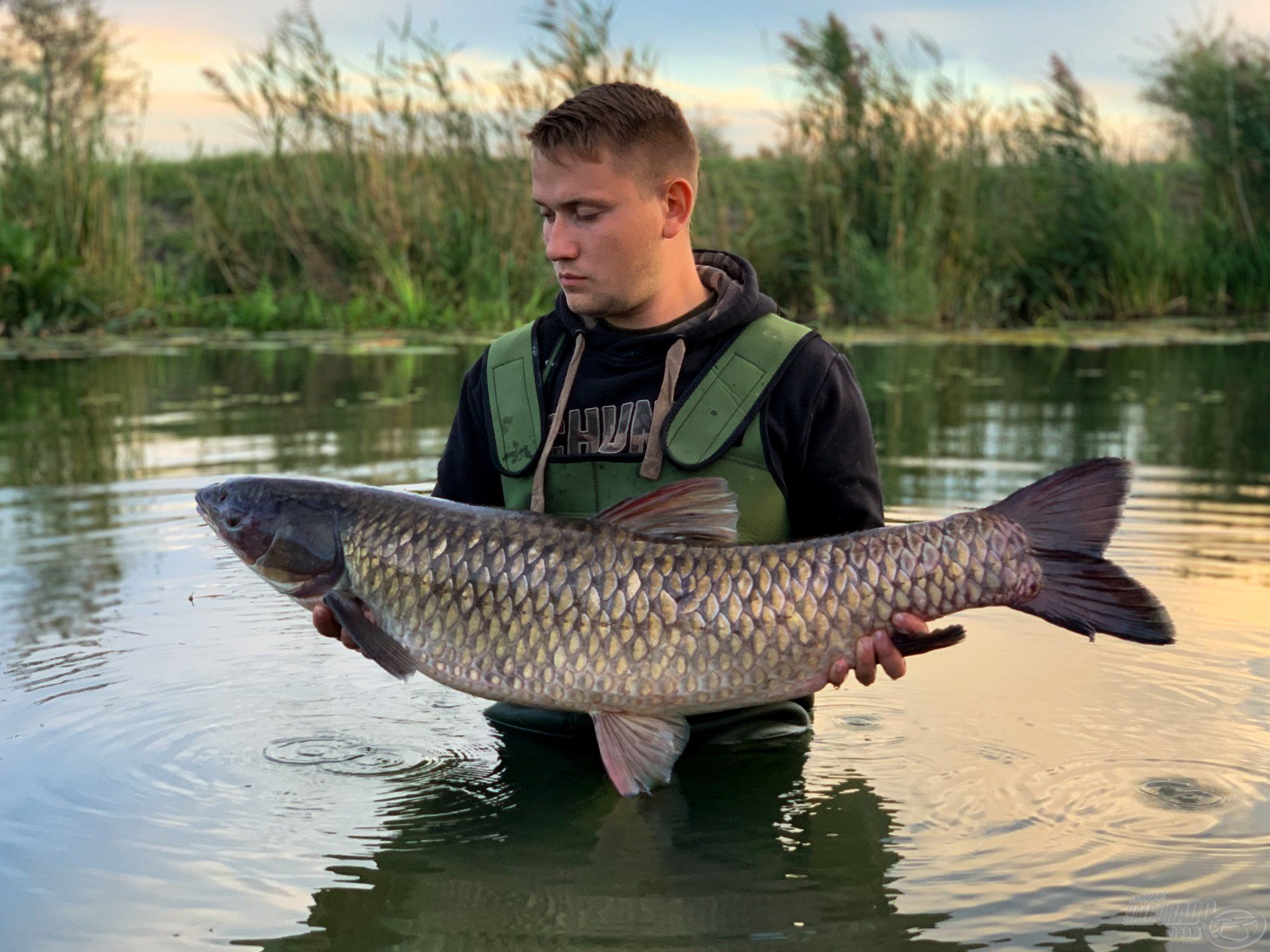 Patrik egy jócskán 10 kg fölötti amurral fogadott