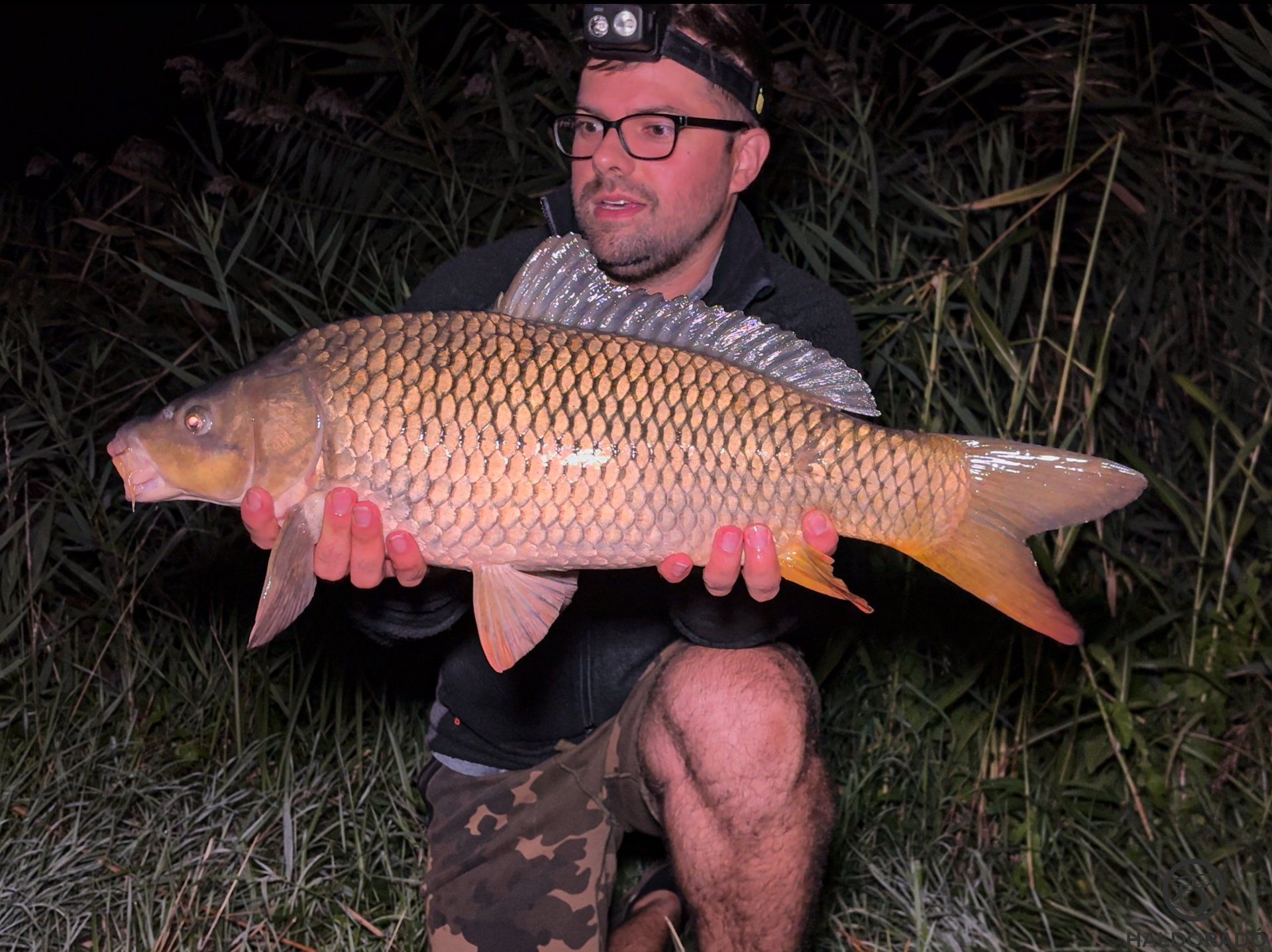A következő kapásra estig kellett várni, mely most egy szép pontyot adott, amit cseppet sem bántam