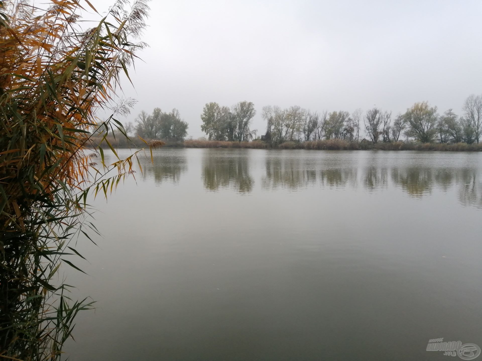 Azért volt idő arra, hogy ráeszméljek az őszi vizek és azok környezetének szépségére