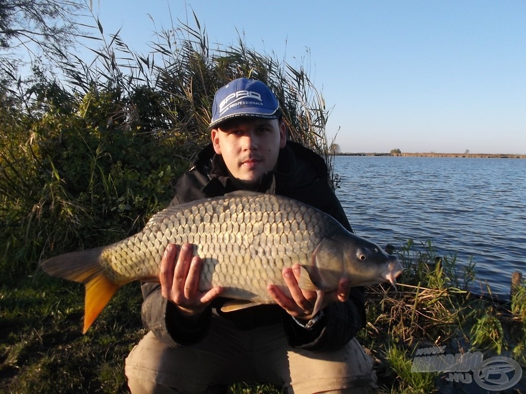 … majd a benn maradt végszerelékemet nemsokára egy újabb tőponty találta meg, ez volt a nap utolsó és egyben a legkisebb pontya is (4,56 kg)