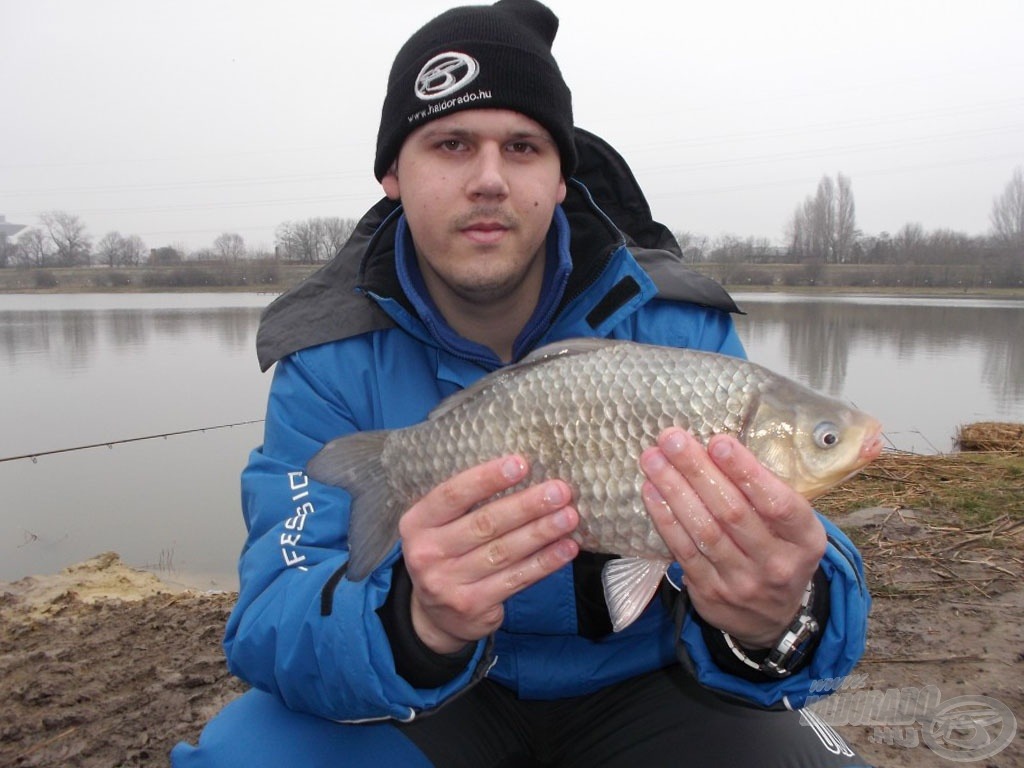 Sőt, ez a derekas kárász sem, aminek a súlya közel volt a 1,5 kg-hoz