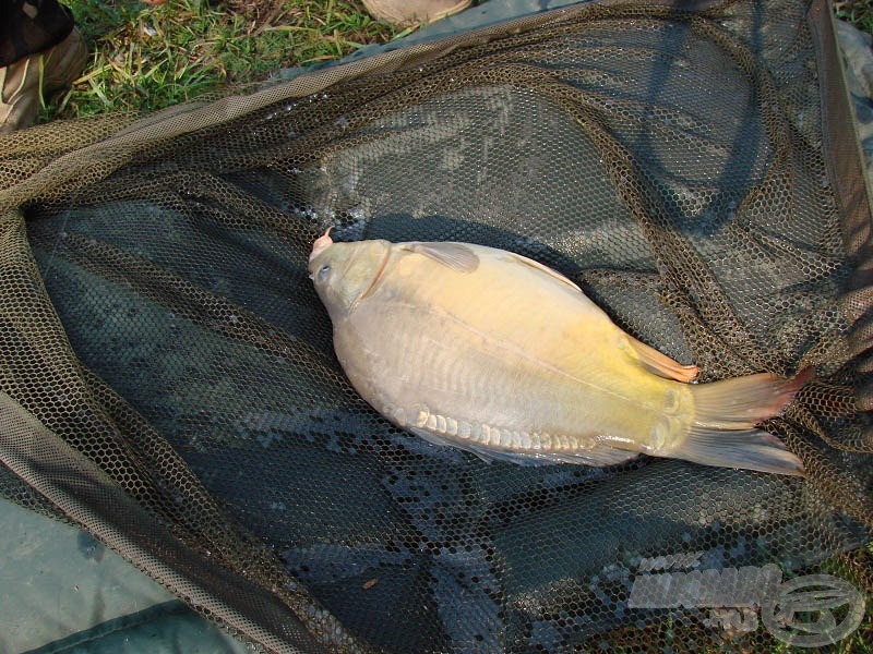 A nap fénypontya , egy őszi potyka