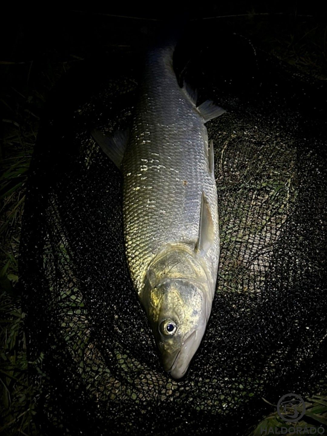 Nagy vehemenciával vette le a karikát