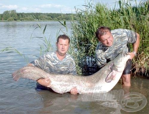 Kapitális méretű harcsák is élnek Palotáson, amit több 50-60 kilón felüli fogás is bizonyít