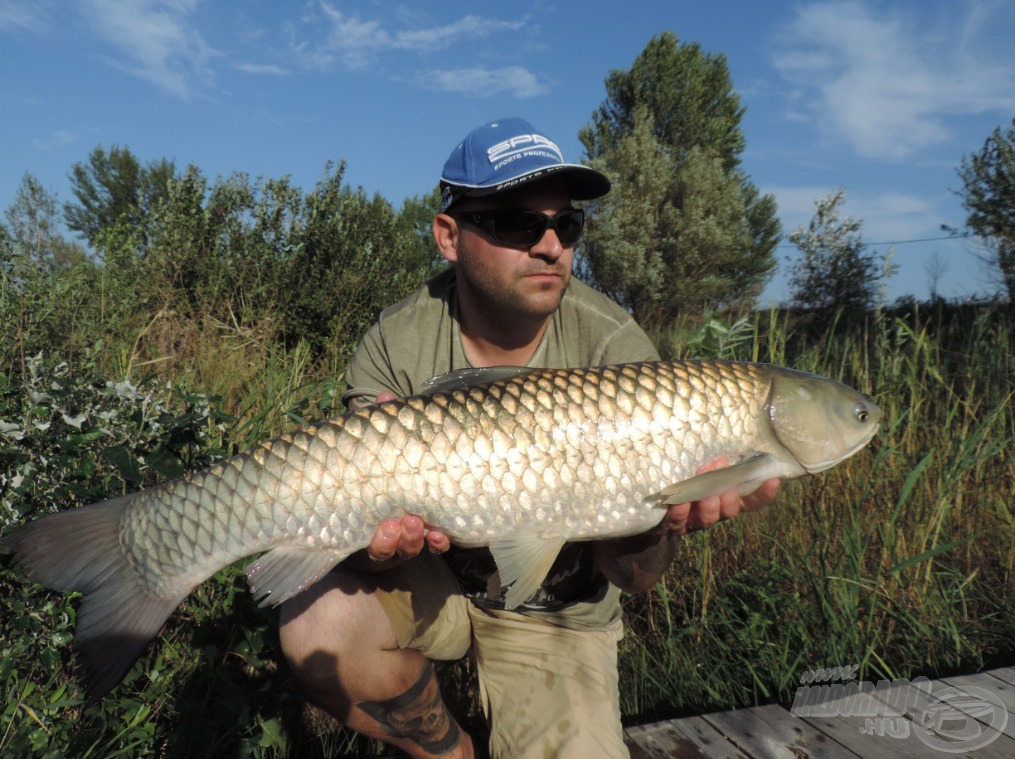 A tó búcsúajándéka ez a gyönyörű, 7,5 kg-os amur volt