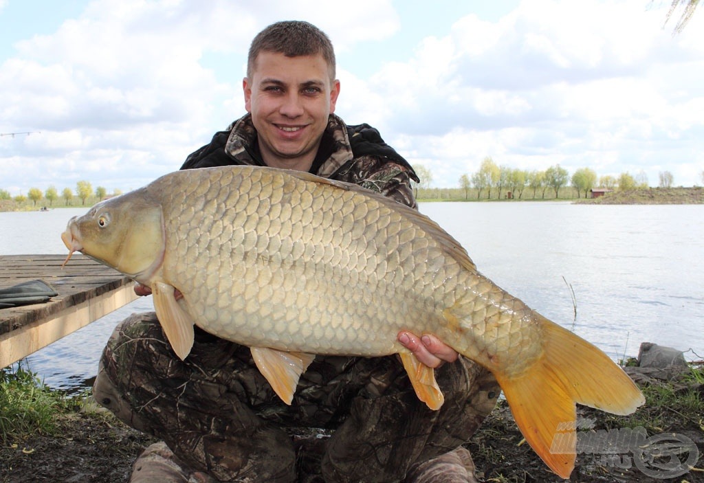 Nem sokat váratott magára az első kapás, melynek eredménye rögtön egy 10 kg fölötti tőponty. Az oldódó epres bojlinak nem tudott ellenállni. Ennél jobb kezdést nem is kívánhattam volna…