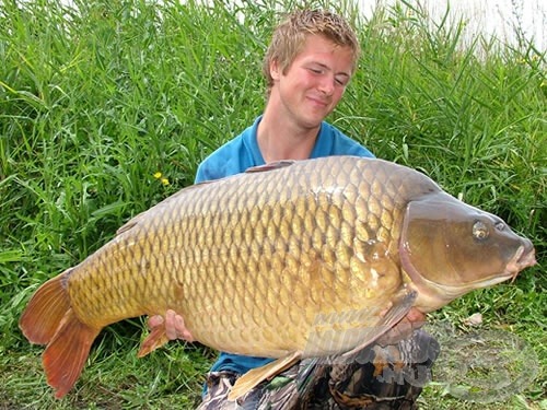 A gyönyörű aranyhasú 21,4 kg-ot nyomott, és ami a legfontosabb: a 20 kg feletti pontyok fotóalbuma alapján még egyszer sem került horogra!