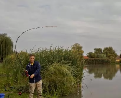 Pontyok a város zajából