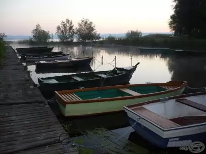 Pünkösdi pontyok a Zala-torkolatnál