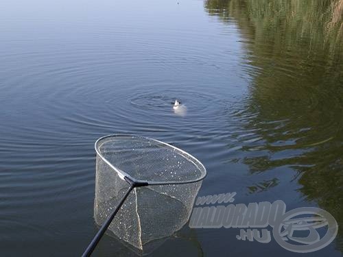 A dévéreknek tetszik a módszer…