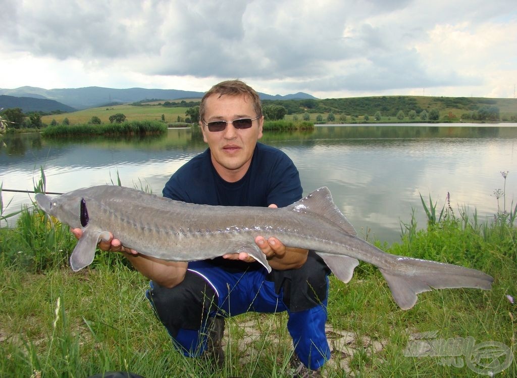 ... és szlovák barátunk által fogott nagyobb fajtársa