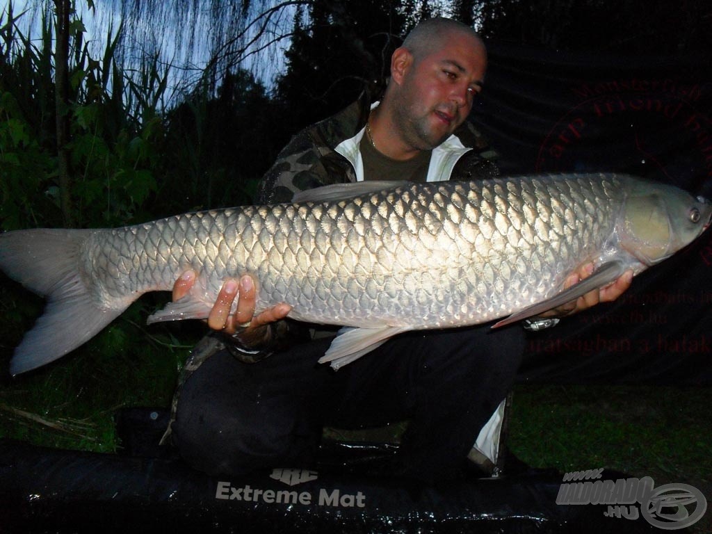 Az első esti látogató egy 10 kg-os amur volt